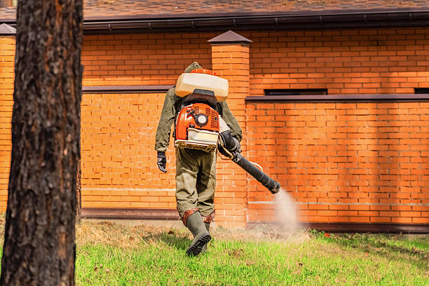 Bed Bug Clearance Verification and Documentation in Matamoras
